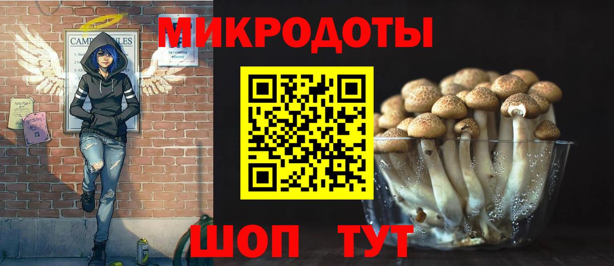 Зеленокумск  Псилоцибиновые грибы Cubensis  Вход с VPN 